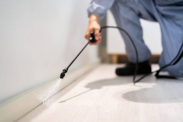 Bed Bug Pre-Treatment Preparation Assessment in Stevensville