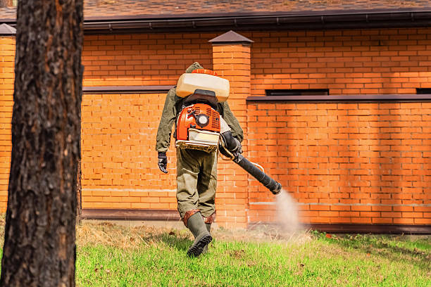 Bed Bug Clearance Verification and Documentation in Stevensville